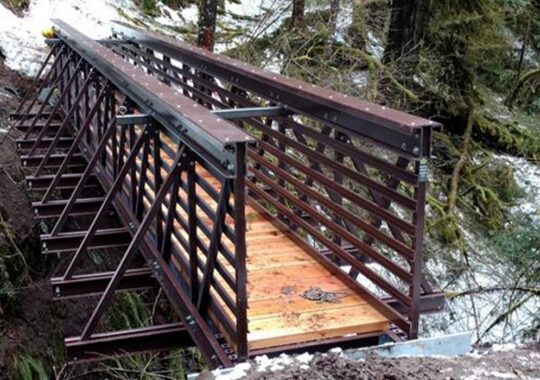 Brown FRP pedestrian bridge in nature preserve.